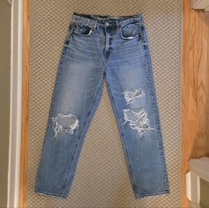 American Eagle Outfitters Classic Blue Denim Distressed Jeans